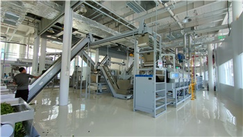 自動化紅綠茶生產(chǎn)線