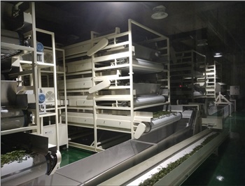 全自動紅茶生產(chǎn)線