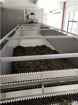 白茶初制生產(chǎn)線