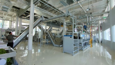 自動(dòng)化紅綠茶生產(chǎn)線